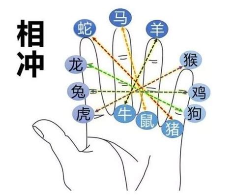 掌中訣|掌上乾坤，天干地支手诀图